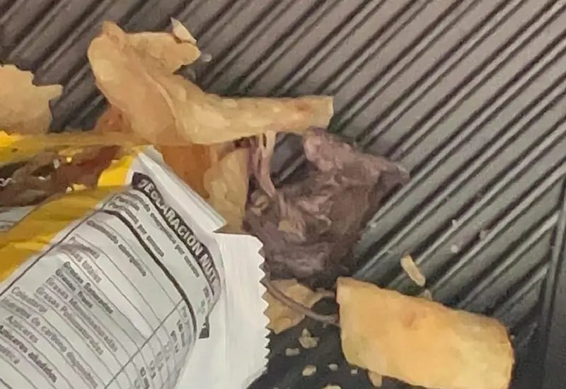 Rata muerta
