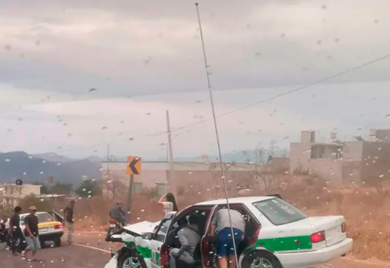 accidente 
