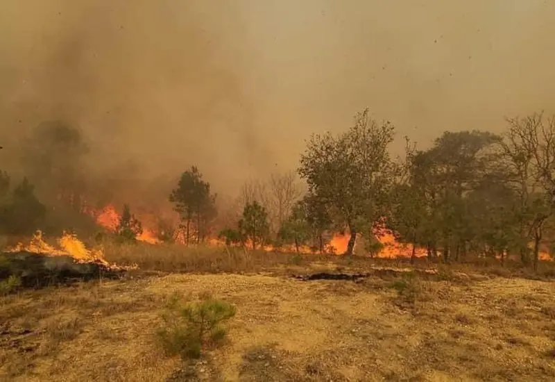 incendio