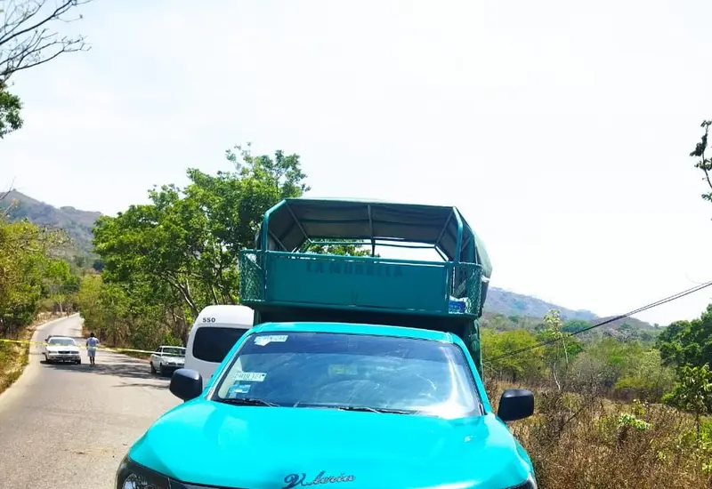 camioneta 