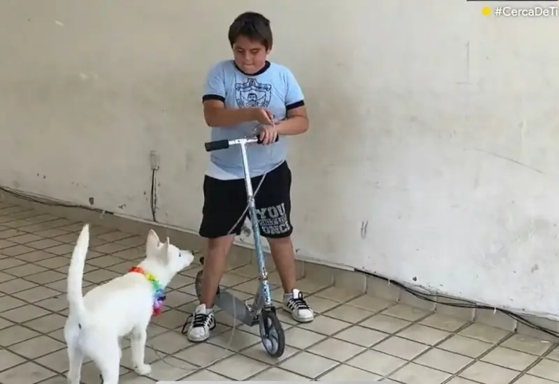niño-perro