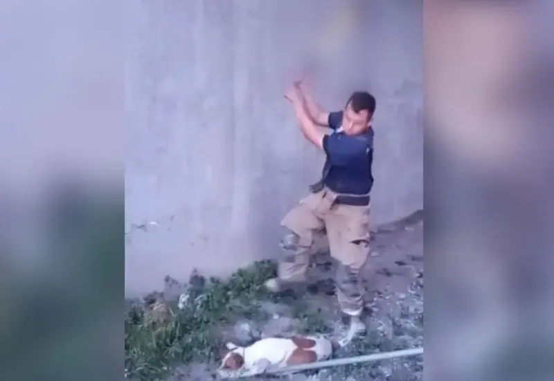 captan_bomberos_ultimando_a_perros