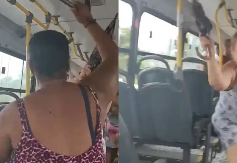 mujeres_pelean_bastonazos_autobus