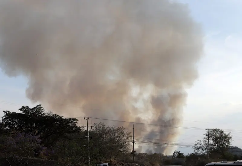 Incendio forestal