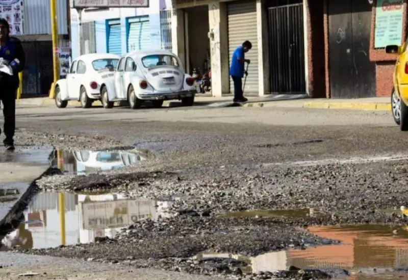 Baches