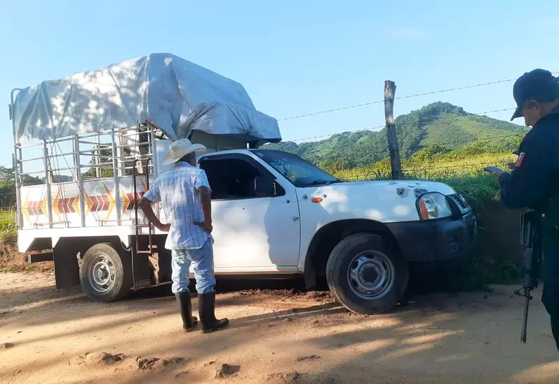 camioneta 