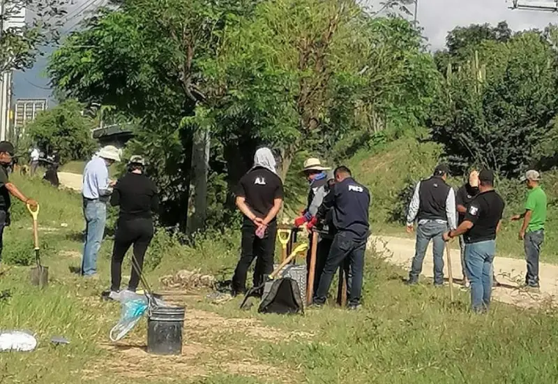 Lugar de los hechos