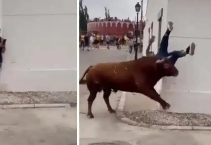 mujer_distraida_celular_embestida_toro
