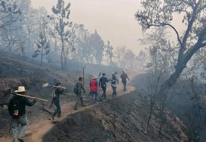 incendio 