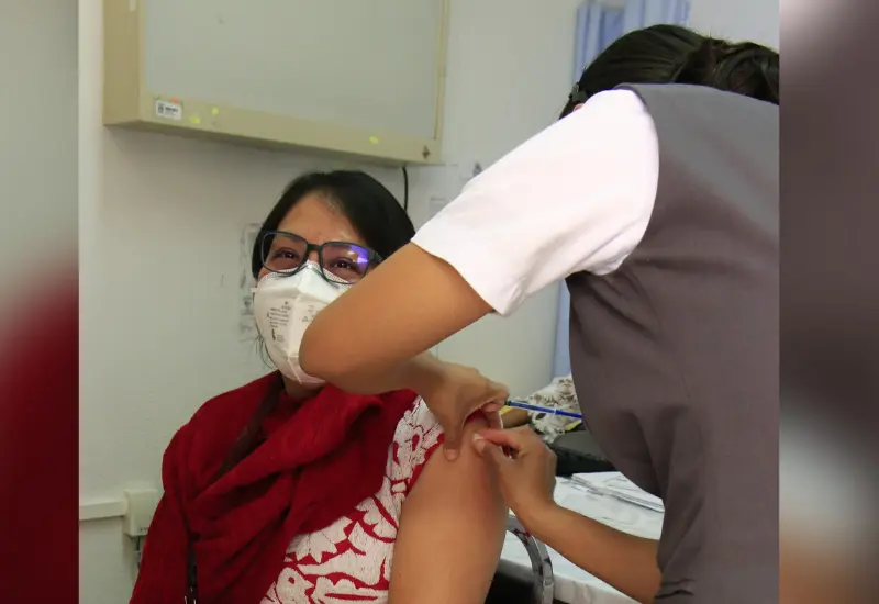 influenza3
