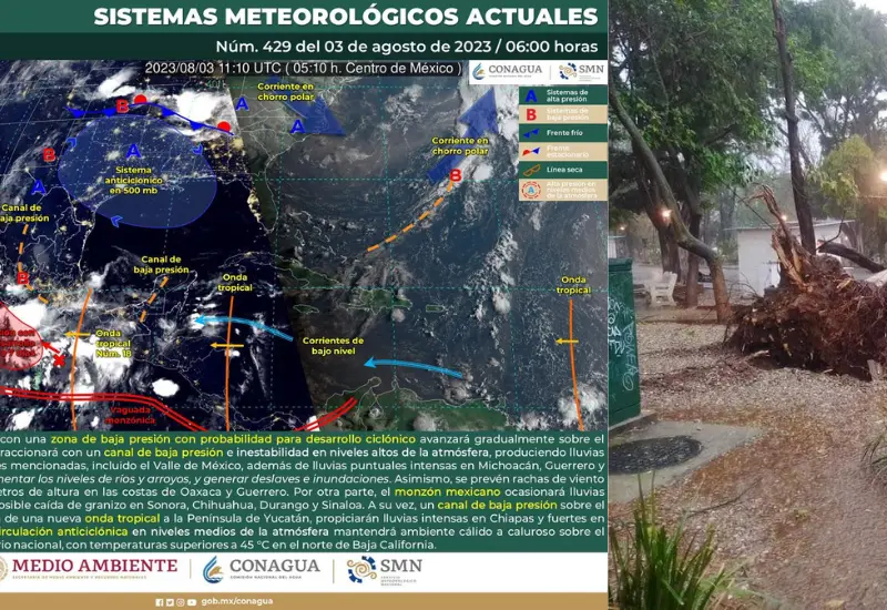 Pronóstico 