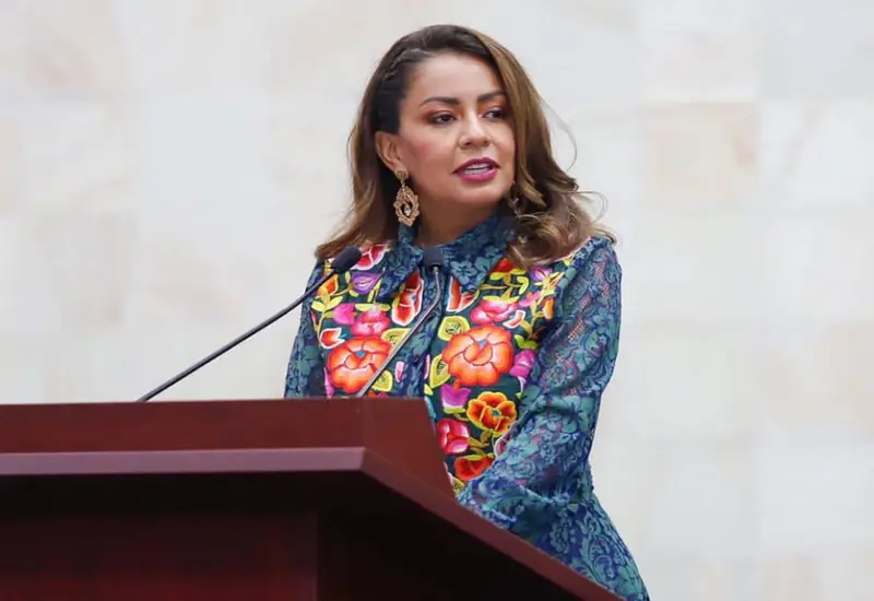 diputada 