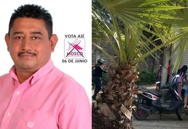 candidato 