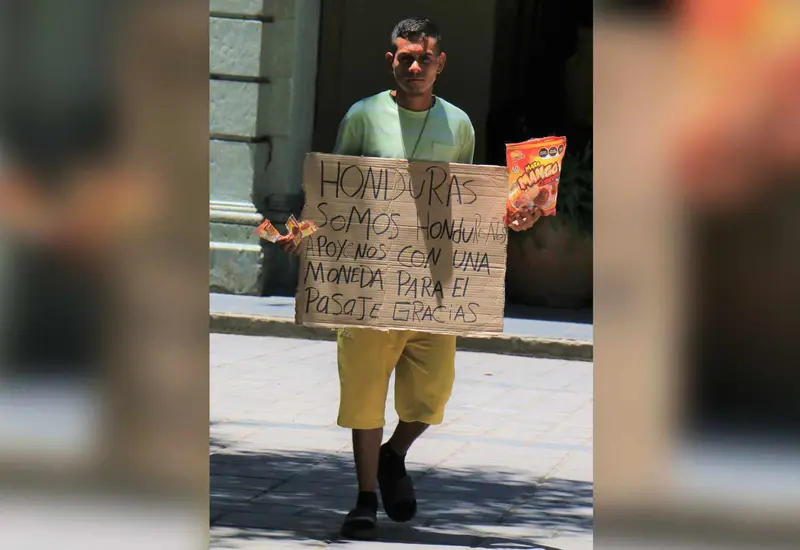migrante 