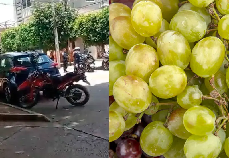 uvas