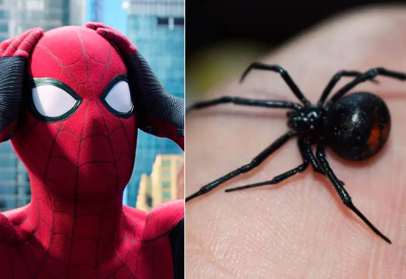 spider-man