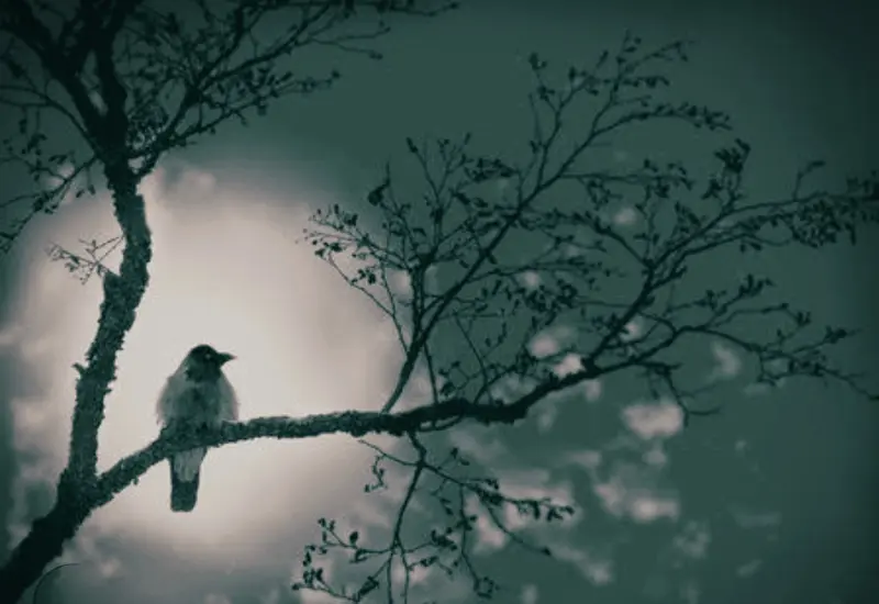pajaro-ave-arbol