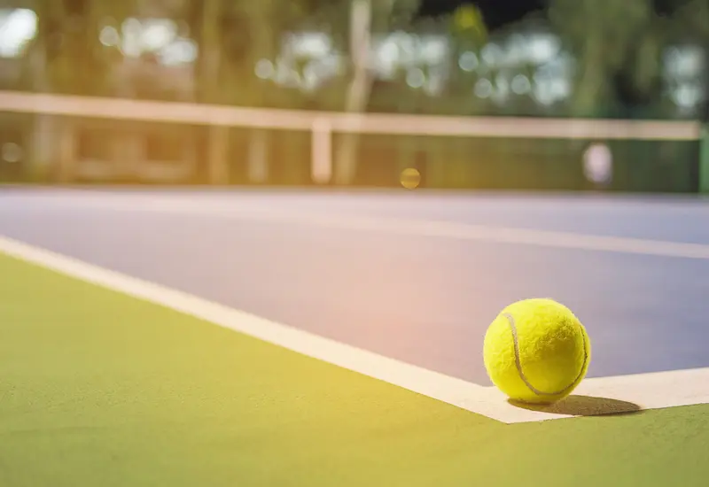 Pelota de tenis