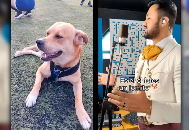 corrido_perrito_el_chicles
