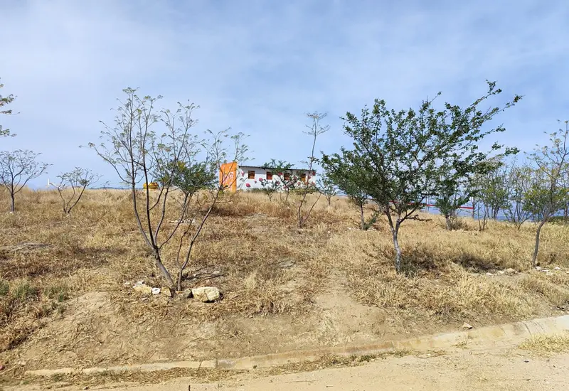 Lugar de los hechos