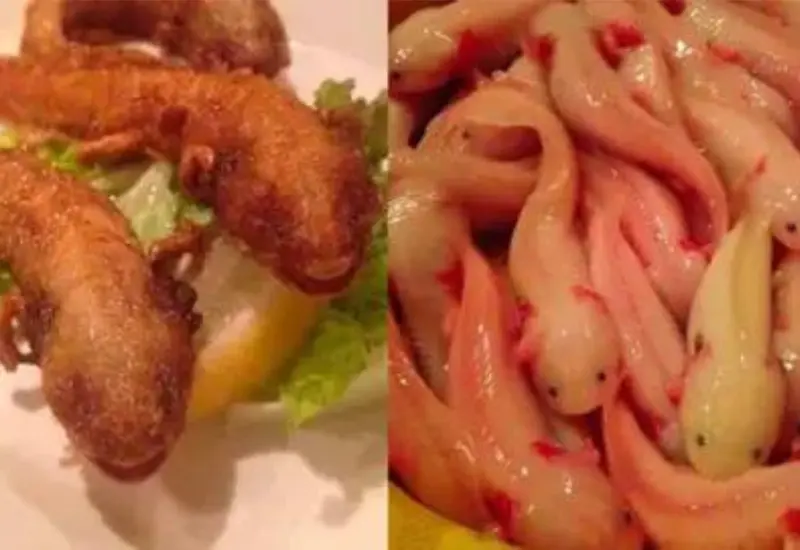 ofrece_restaurante_ajolotes_fritos