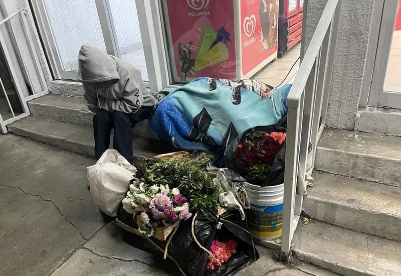 apoyo-oaxaca