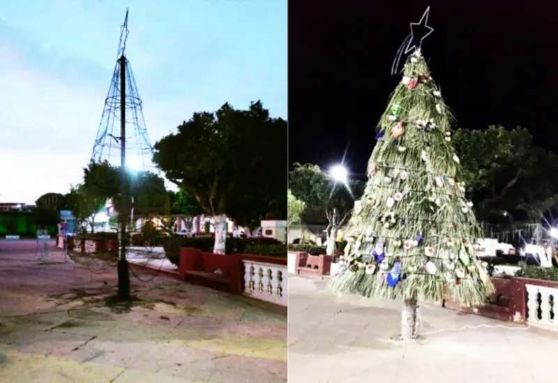 arbol-portada