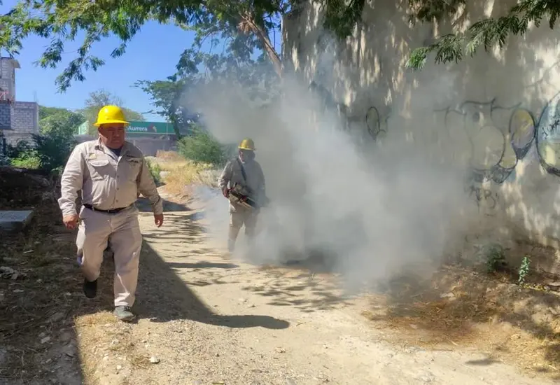 dengue-en-oaxaca