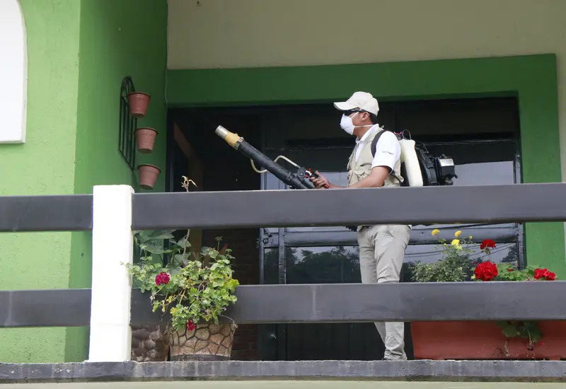 dengue-en-oaxaca