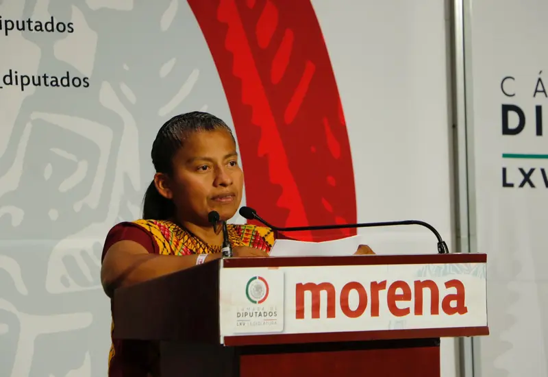 diputada-morena