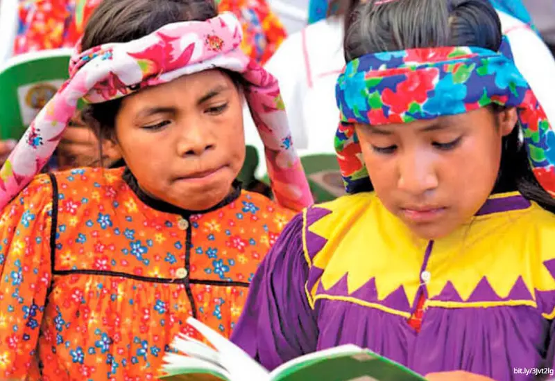 educacion-oaxaca