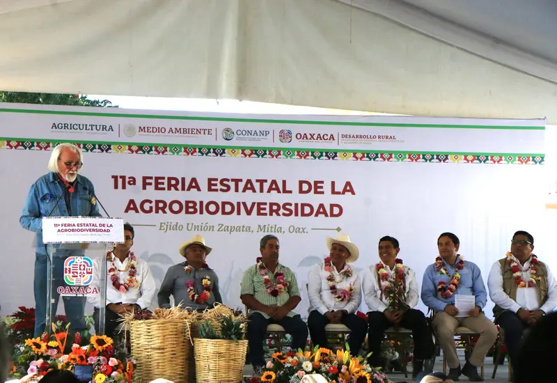 feria-maiz