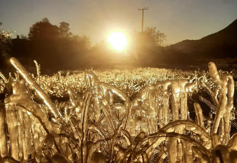 continuaran_bajas_temperaturas_oaxaca