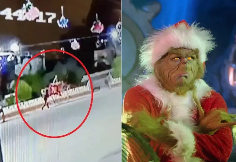 sujeto_destroza_adornos_navideños_grinch