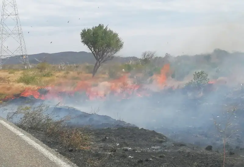 incendio-oaxaca