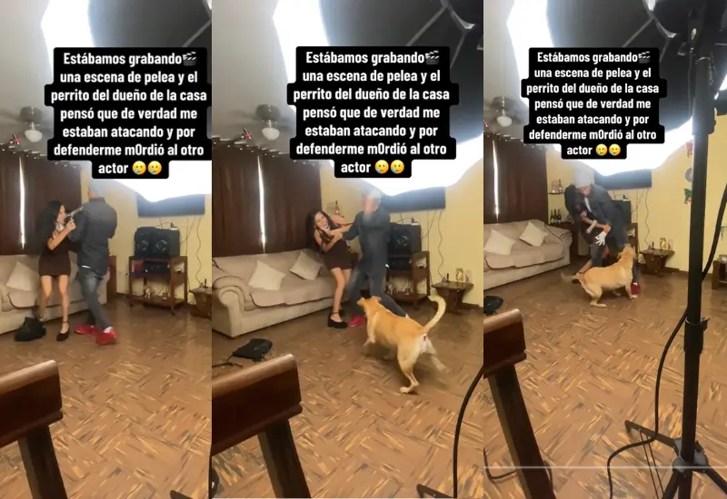 lomito_muerde_actor_escena_grabada