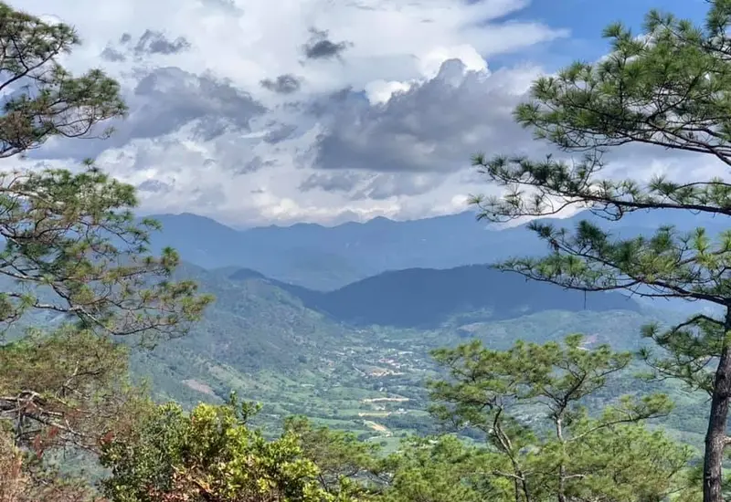 muerto-en-oaxaca