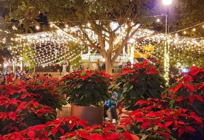 navidad-oaxaca