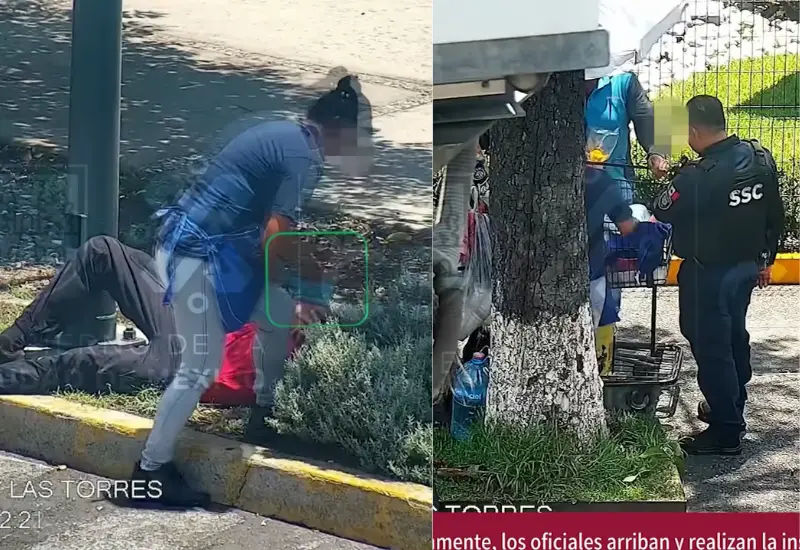 vendedora_fruta_roba_telefono_dormido