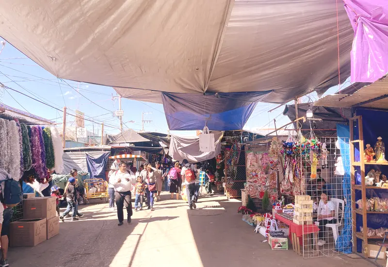 voz-mercado