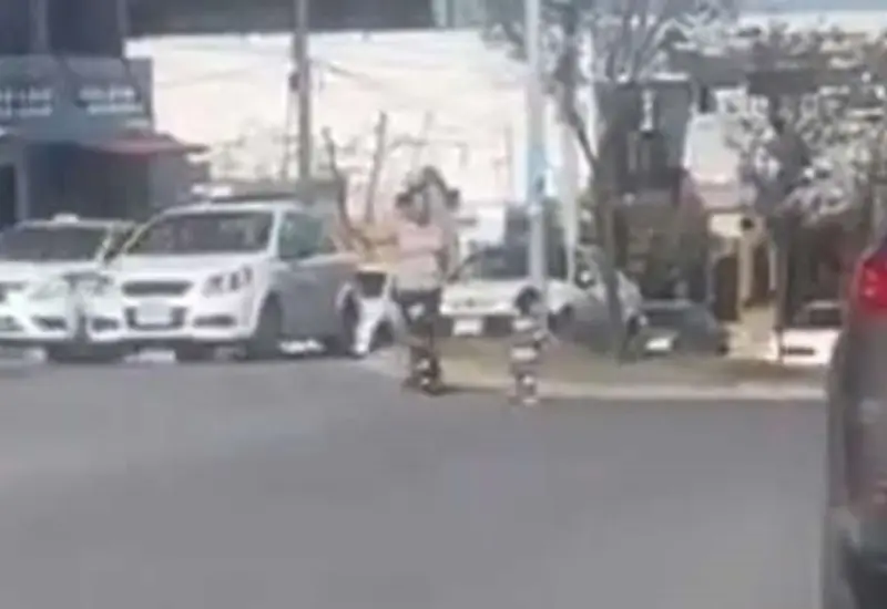 bebe