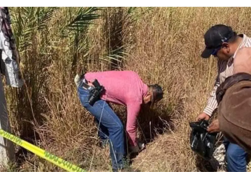 investigacion