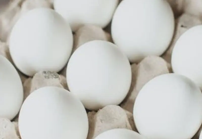 huevos
