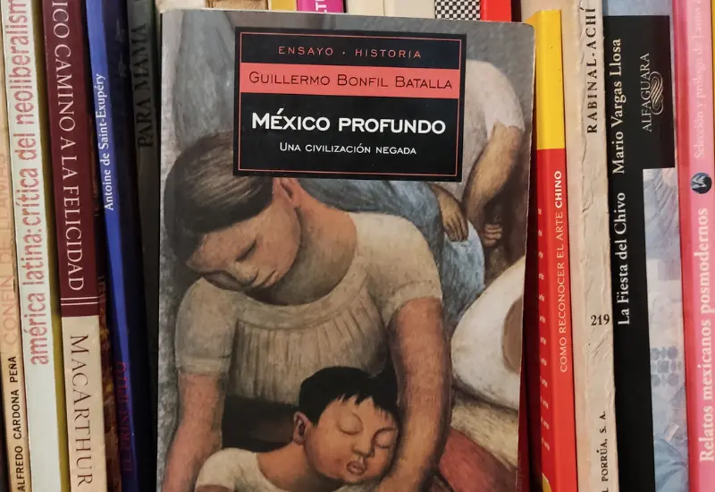 guillermo_bonfil 