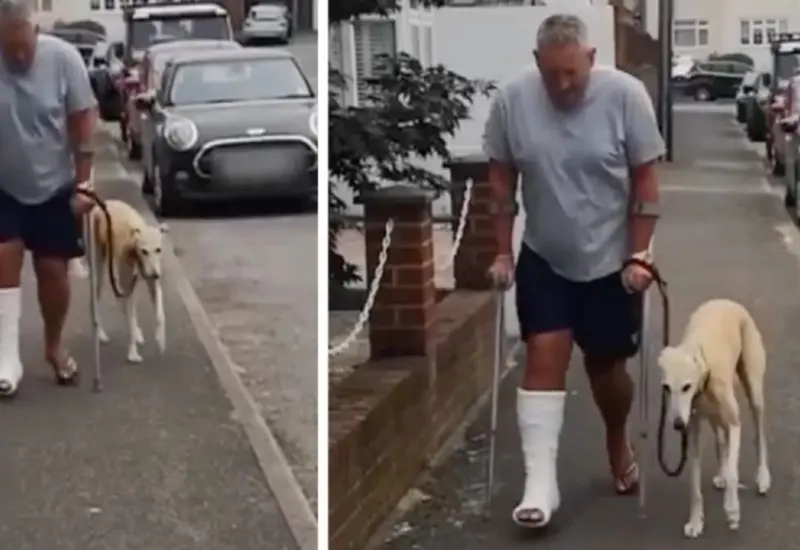 hombre-lesionado-pasea-perro