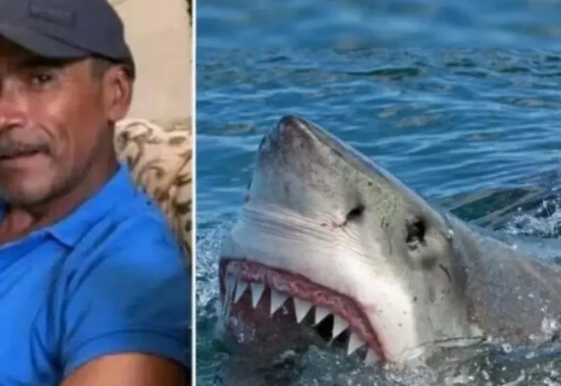 pescador_perdio_la_vida