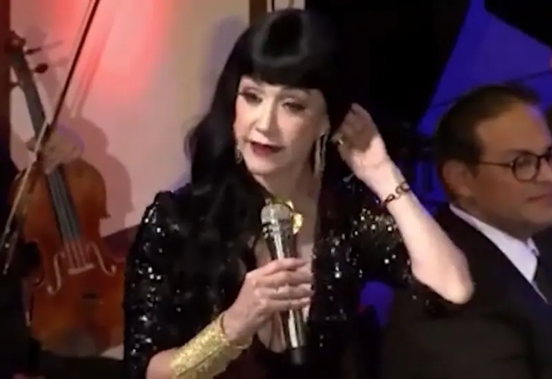 cantante 