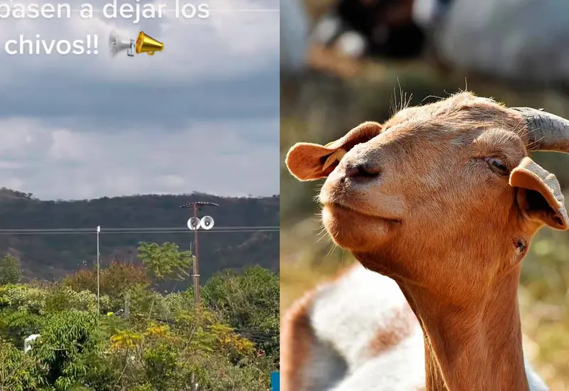 pueblo-chivo