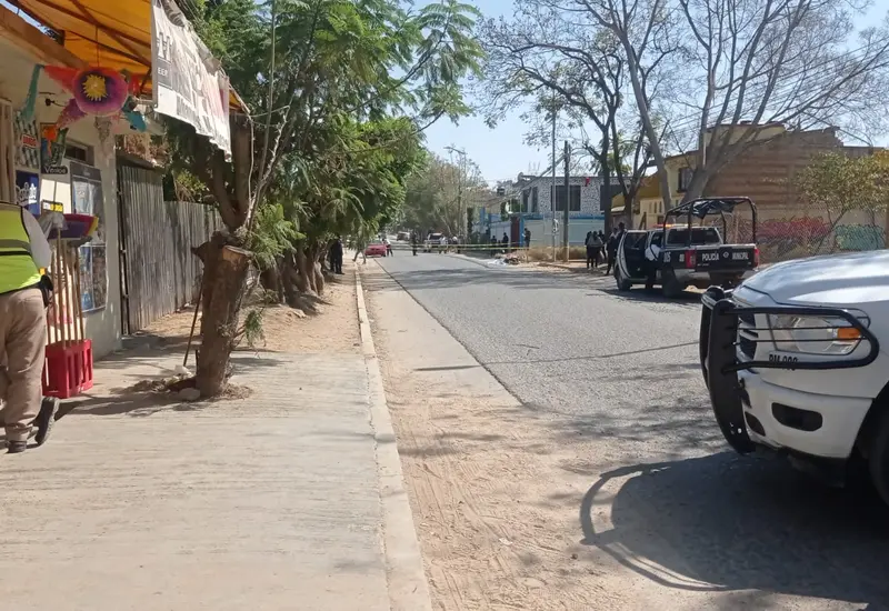 calle 