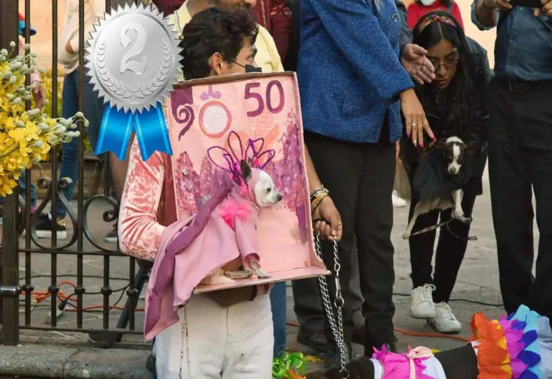 captura-lomito-billete2